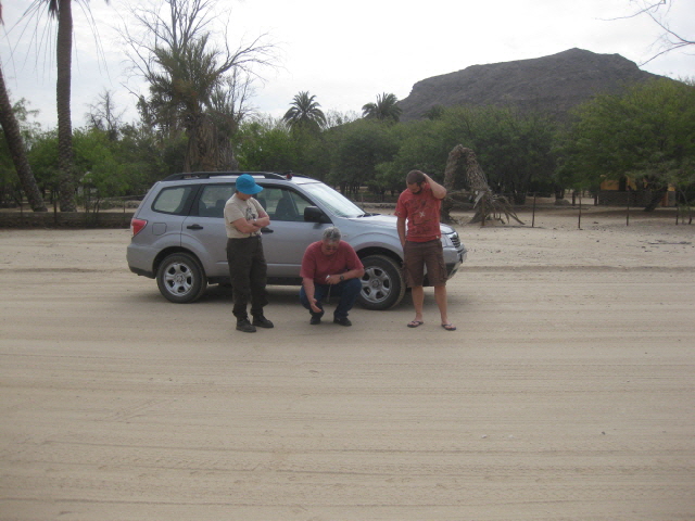 Etosha 256.jpg